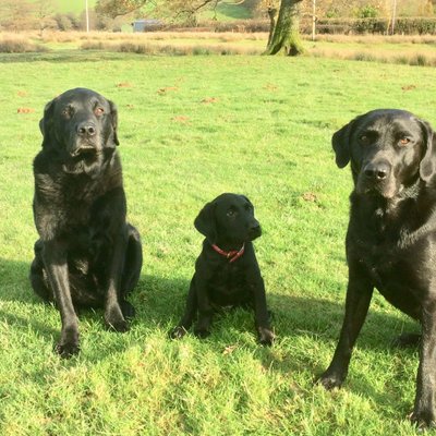 Profile Picture of Peter Lloyd (@6Lloyd) on Twitter