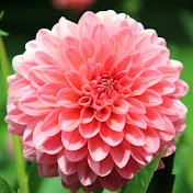 Profile Picture of Maddie Golodner (@maddiegolodner5114) on Youtube