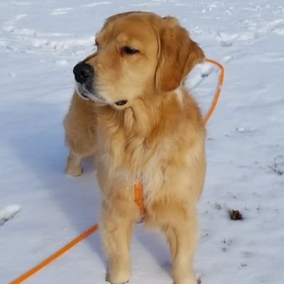 Profile Picture of Eric Nordman (@EricANordman) on Twitter