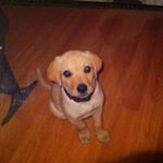 Profile Picture of Jeremy Mcgowan (@yourmors69) on Instagram