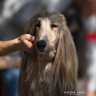 Antonio Ragone - Facebook Profile Picture of Antonio Ragone (@ragone.antonio.9) on Facebook