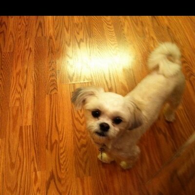 Profile Picture of Christine Pepe (@Christine0729) on Twitter