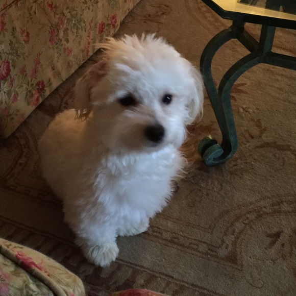 Profile Picture of Janey Wehrer (@janeyw16) on Poshmark