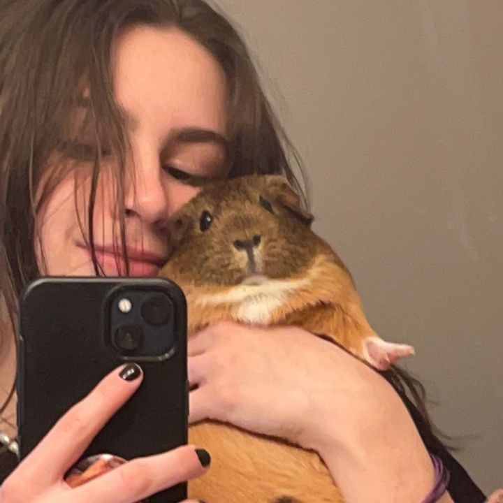 Profile Picture of Alexa (@monkibread) on Tiktok