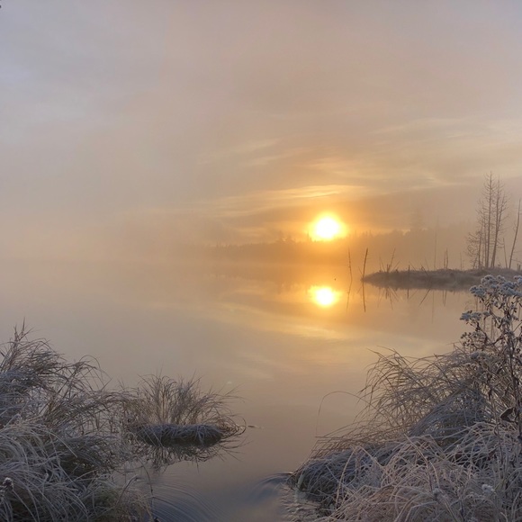 Profile Picture of Derrick Yates (@yatesda) on Poshmark