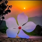 Profile Picture of Rdc Showen Lhan (@Rdc-Showen-Lhan) on Facebook