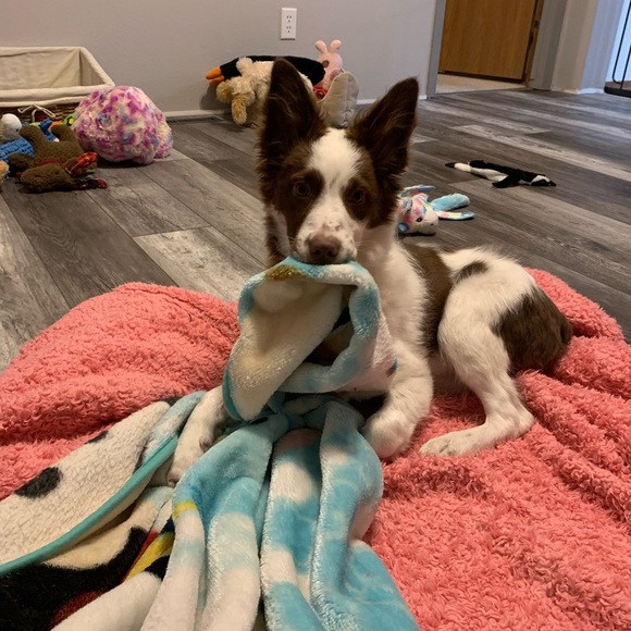 Profile Picture of Jessica Bonefield (@jbonefield) on Poshmark