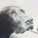 Profile Picture of Peter W Jeffery (@peter.w.jeffery) on Instagram