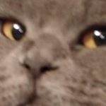 Profile Picture of James Washington (@specterus.primus.maximus) on Instagram