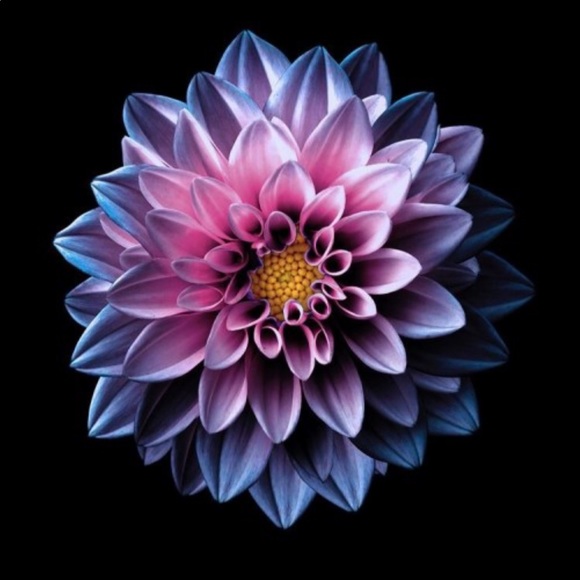 Profile Picture of Isabella Palompelli (@bell_palompelli) on Poshmark