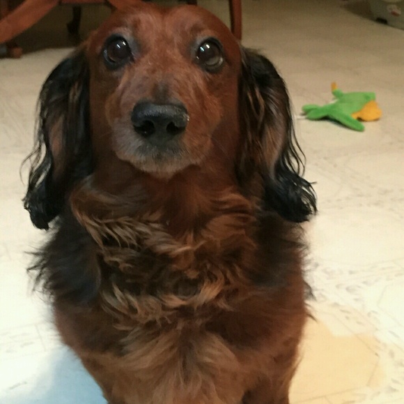 Profile Picture of Marisa Scates (@lynnmart22) on Poshmark