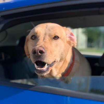 Profile Picture of 吳昱陞 | Robin Wu (@_robinwu) on Twitter