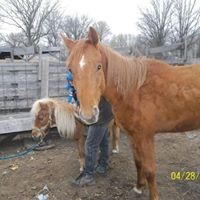 Profile Picture of Kim Lake Beedle (@kim-lake-beedle) on Quora