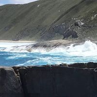 Profile Picture of Petrus Pretorius (@francois4596) on Pinterest