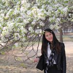 Profile Picture of Sophia Tsai 蔡宇帆 (@cherish_sophia) on Instagram