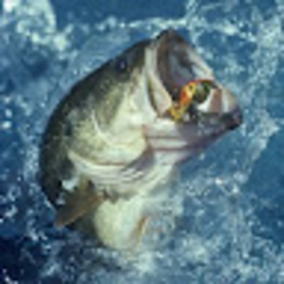 Profile Picture of Steve Hutchens (@stevehutchens) on Poshmark