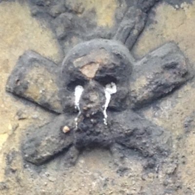Profile Picture of Cal Stark (@cal_stark) on Twitter