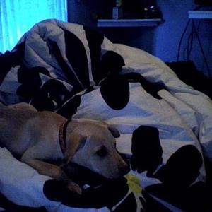 Profile Picture of Alicia Robb (@_awicia) on Myspace