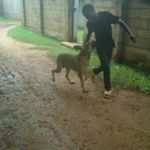 Profile Picture of Richard Gabriel (@brandergeogre) on Instagram