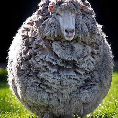 Profile Picture of Brett Dougherty (@brettdougherty) on Twitter