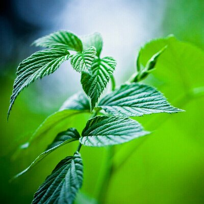 Profile Picture of Loveboyson Twitter