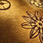 Profile Picture of Amanda Watson (@amanda watson 2010) on Flickr