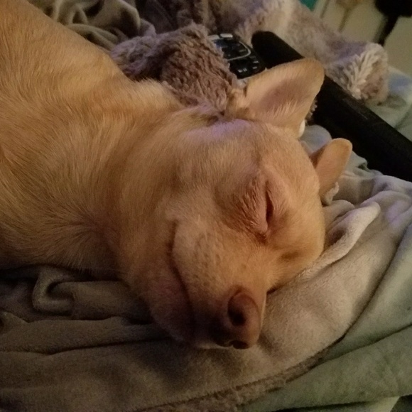 Profile Picture of Lucas Dasilva (@lukas_gabriel) on Poshmark