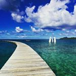 Profile Picture of David (@photo.martinique) on Instagram