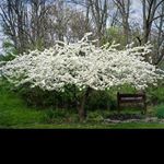 hans_naumann - Instagram Profile Picture of hans_naumann (@hans_naumann) on Instagram