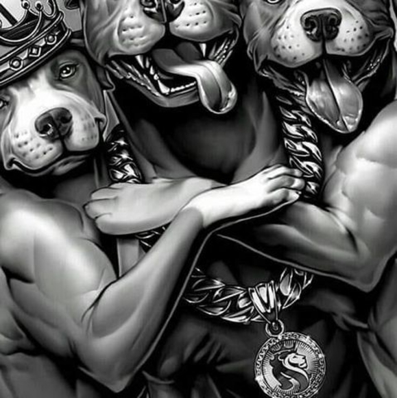 Profile Picture of James Gagnon (@555333426) on Poshmark