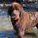 Profile Picture of LaTrelle Scherffius (@latrellesch) on Instagram