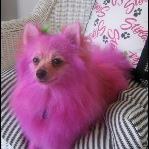 Profile Picture of Victoria Brezak (@3049) on Poshmark