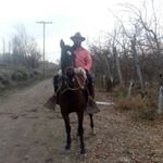 Profile Picture of Alejandro Salomon (@salomon5250) on Instagram