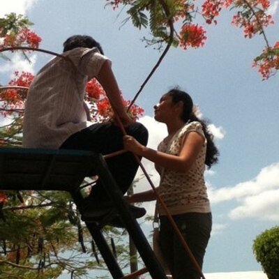 Profile Picture of Daniel Palomo (@DanielPalomoAr) on Twitter