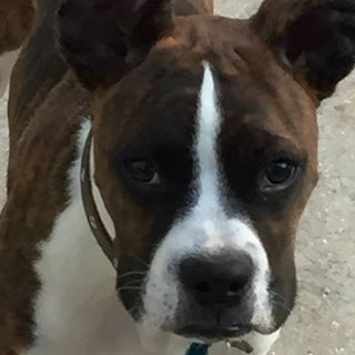 Profile Picture of Robert Chenault (@robert.chenault.52) on Facebook