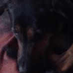 Profile Picture of Richard Craigo (@richard.craigo.3) on Facebook