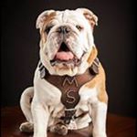 Profile Picture of Stephen Liggett (@stephen.liggett) on Instagram