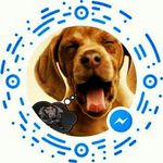 Profile Picture of Miriam Mandel (@miriammandel10) on Instagram