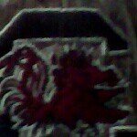 Profile Picture of travis (@newhart2) on Instagram