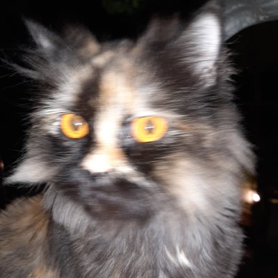 Ajit Vaidya - Twitter Profile Picture of Ajit Vaidya (@AjitVaidya9) on Twitter