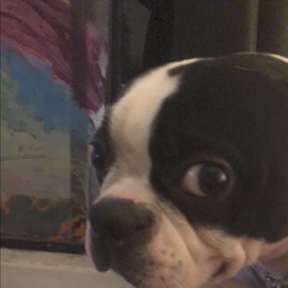 Profile Picture of Jade Lambert (@jadeolivia46) on Poshmark