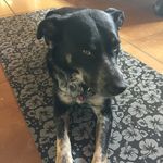 Profile Picture of Laurie Donahue-Hjelle (@lauriedonahuehjelle) on Instagram