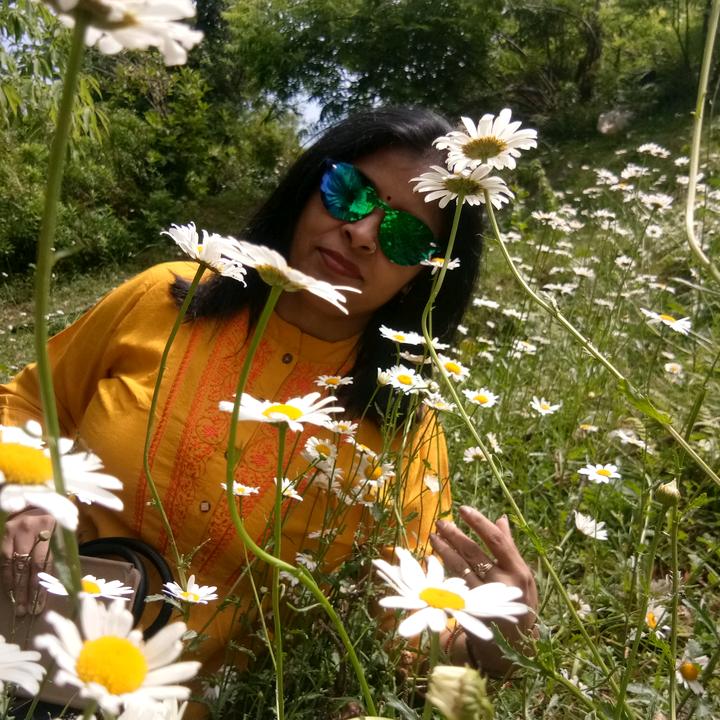 Profile Picture of Poonam Chandra (@poonamchandra24) on Tiktok
