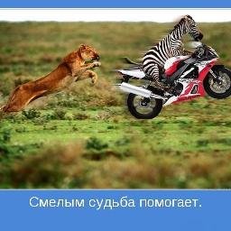 Profile Picture of Andy Nickel (@grosssmejster) on Twitter