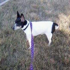 Profile Picture of Janet Kahle (@janet.kahle.5) on Facebook