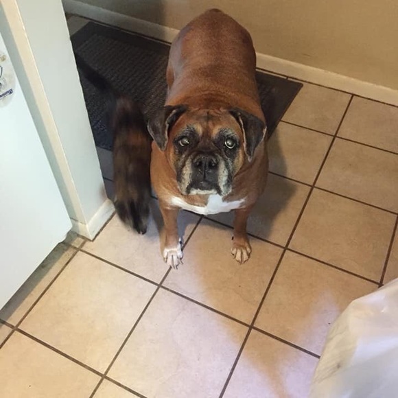 Profile Picture of Aleya M (@aleyam45) on Poshmark