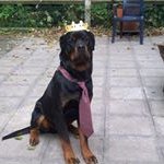 Profile Picture of carla devos (@devos.carla2) on Instagram