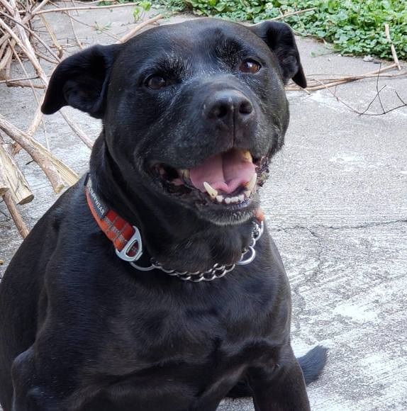 Profile Picture of Snow Aukema (@snowaukema) on Poshmark