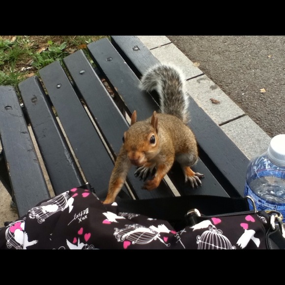 Profile Picture of Alli Brellin (@schizo) on Poshmark