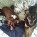 Profile Picture of Jason Haynes (@jason.haynes.564813) on Facebook